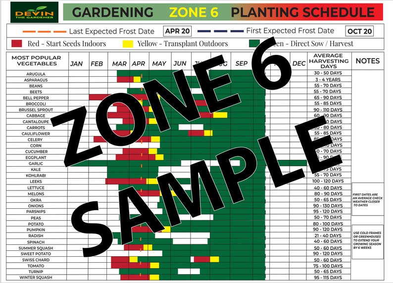 Garden Zone 6 Planting Schedule Garden Gifts (Instant Download) - Etsy