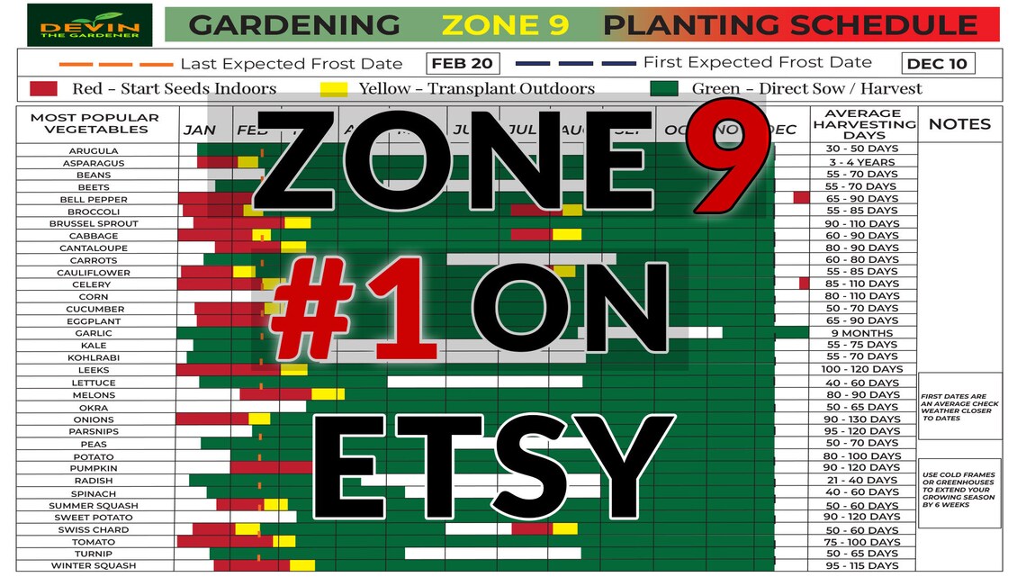 Zone 9 Gardening Planting Schedule, Zone 9 Seeds, Zone 9 Garden