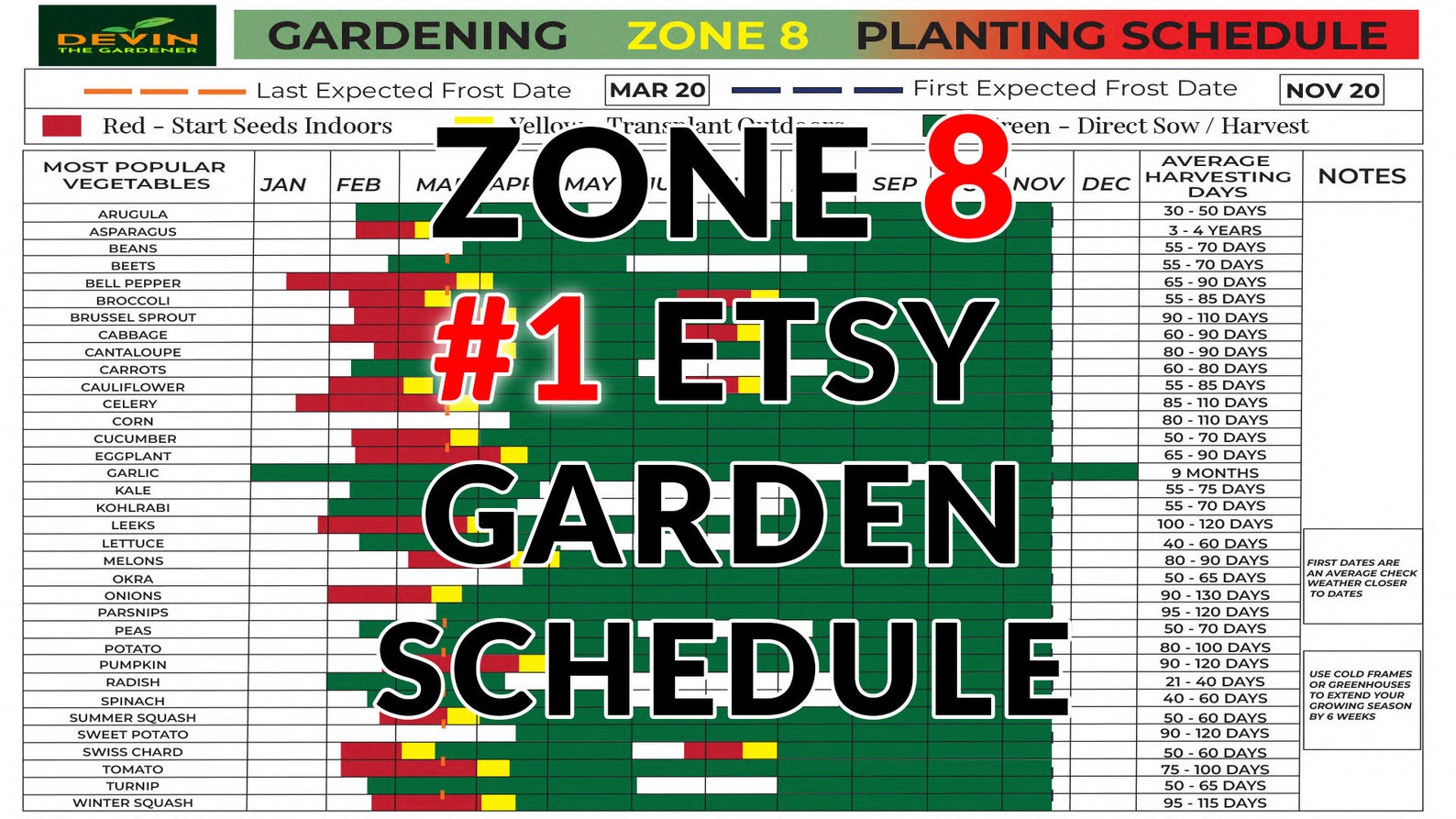 Zone 8 Garden Planting Schedule Vegetable Plants Vegetable Seeds