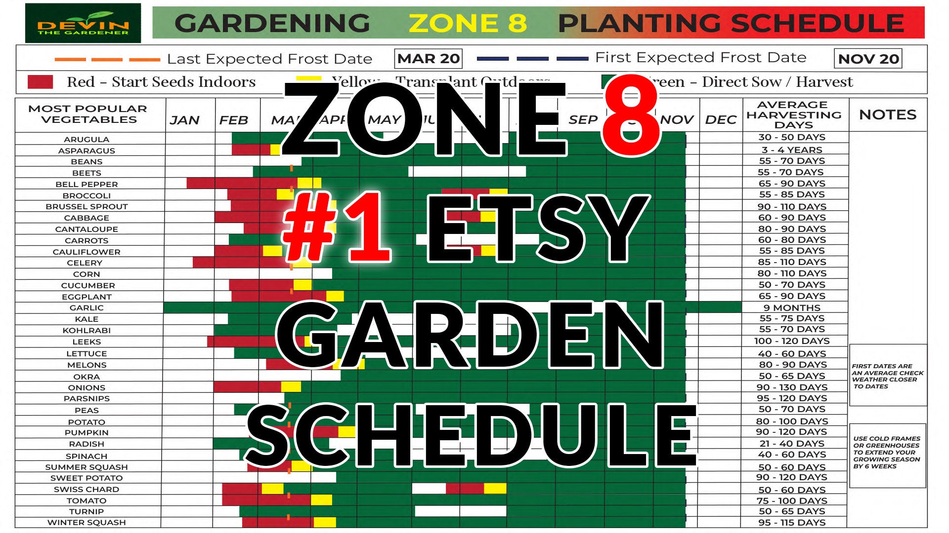 Zone 8 garden planting schedule vegetable plants vegetable seeds