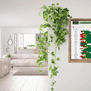 Garden Template Zone 9 for perfect planning: a Digital Garden Planner with a Gardening Planner Zone 9 focus. Includes a Garden Journal Zone 9 to track growth and a Garden Spreadsheet for organizing planting schedules and garden maintenance