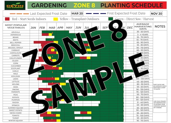 When To Start Seeds Indoors (Easy Printable Sowing Plan)