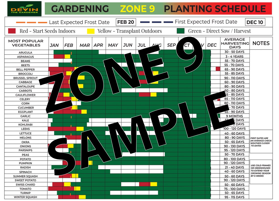 Zone 9 Gardening Planting Schedule, Zone 9 Seeds, Zone 9 Garden