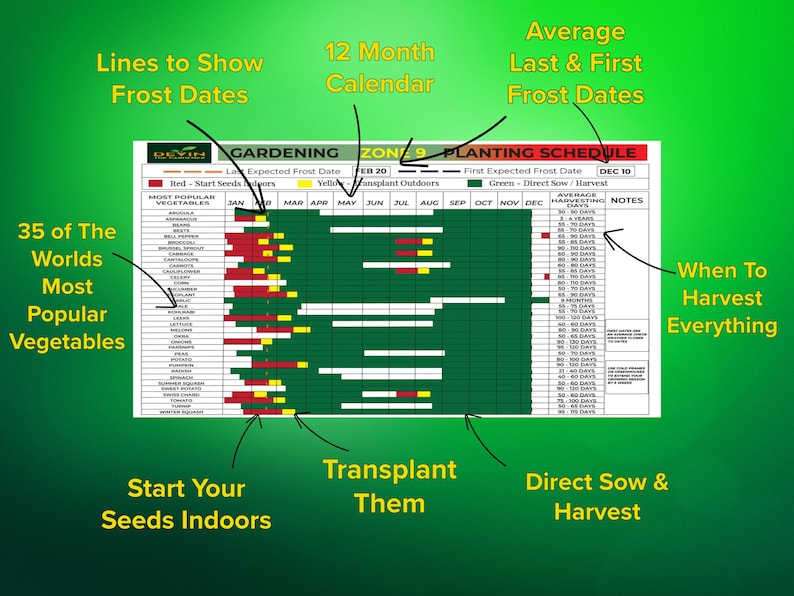 Comprehensive Garden Planner for Zone 9b with detailed Gardening Planner Zone 9b tools. Includes a Digital Garden Planner, printable templates, and a Garden Spreadsheet poster for planting zone 9b.