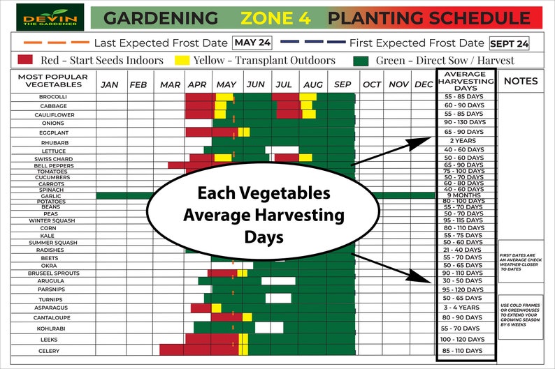 Zone 4 Garden Planting Schedule, Garden Poster, Garden Organizer, Seed