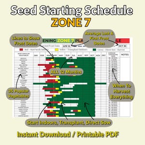 Seed Starting Zone 7, Digital Garden Planner Zone 7, Seed Starting Spreadsheet, Seed Starting Poster, Seed Starting Planner, Seed Starting