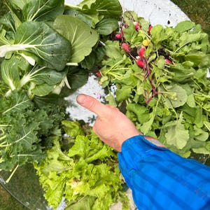Decorate and organize with this Garden Print! This Gardening Planner Zone 5 includes a DIY Garden Planner, a PDF Garden Planner, a Gardening Journal, and a Homestead Planner for tracking your garden season.