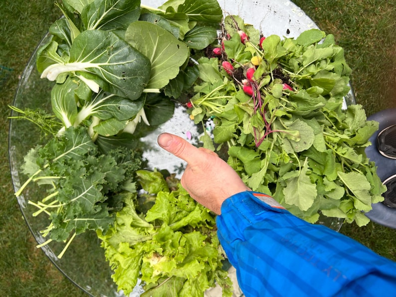 Decorate and organize with this Garden Print! This Gardening Planner Zone 5 includes a DIY Garden Planner, a PDF Garden Planner, a Gardening Journal, and a Homestead Planner for tracking your garden season.