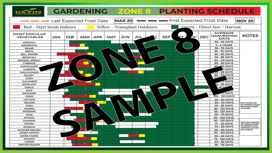 Zone 8 Garden Planting Schedule, Vegetable Plants, Vegetable Seeds, Vegetable Print, Garden ...