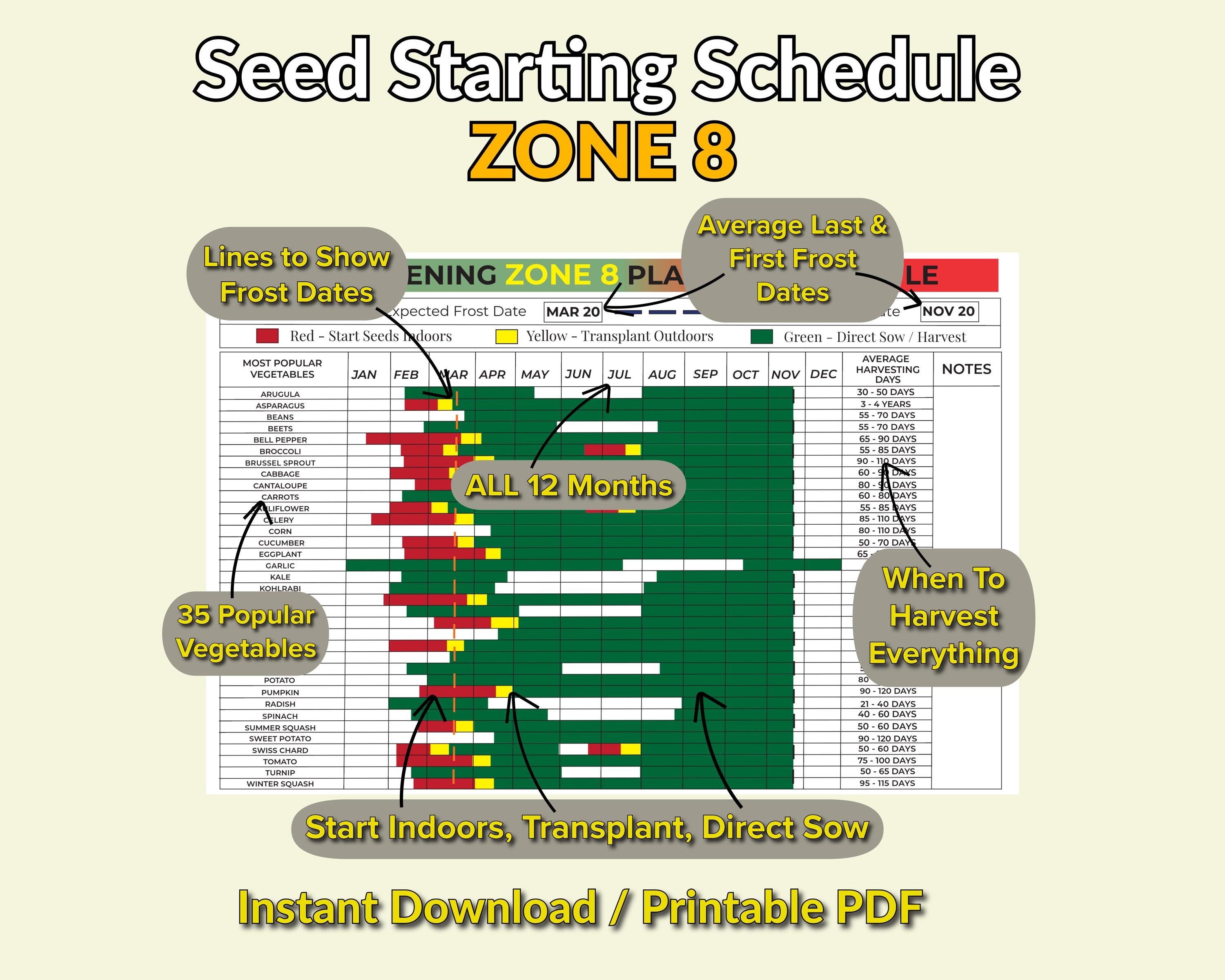 Zone 8 Planting Schedule Printable, Vegetable Garden Calendar, Seed ...