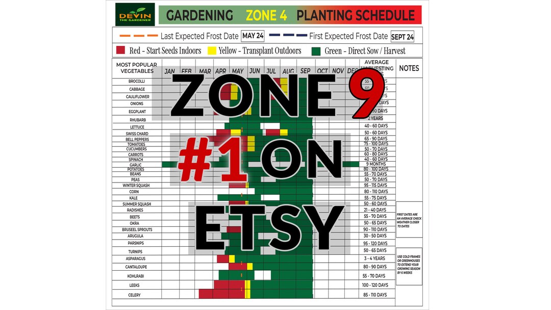 Zone 9 Gardening Planting Schedule, Zone 9 Seeds, Zone 9 Garden