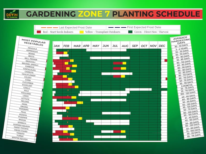 Organize your planting season with this Garden Planner Zone 7! It includes a detailed Garden Planting Guide, seasonal tips, and a fully customizable Zone 7 Garden Layout for a thriving and well-planned garden.