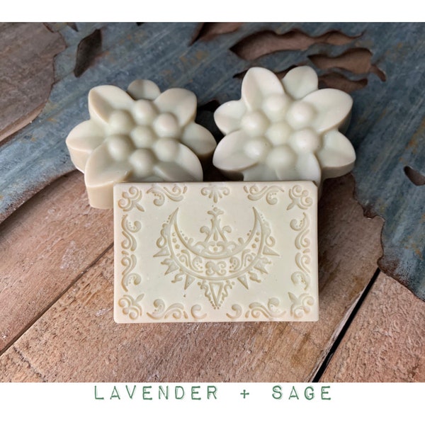 Organic Shampoo Etsy