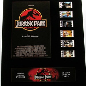 JURASSIC PARK Dinosaurio 1993 Jeff Goldblum Película de 35 mm Presentación de pantalla 8x10