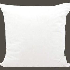 May include: A square, white pillow with a soft, textured appearance. The pillow is filled and has a slightly rounded shape, suggesting comfort. The pillow is plain and simple, suitable for various home decor styles.
