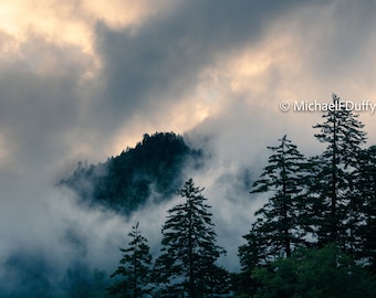Smoky Pines Great Smoky Mountains National Park