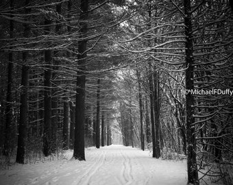 Winter Trail - Nashotah Park