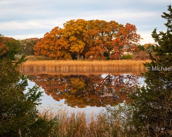 Chapman Park - Fall Colors
