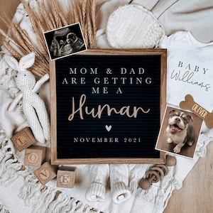 Digital Pregnancy Announcement / Social Media / Gender Neutral / Digital Pregnancy Announcement / Pet Pregnancy announcement image 1