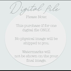 Digital Pregnancy Announcement / Social Media / Gender Neutral / Digital Pregnancy Announcement / Pregnancy Reveal image 7