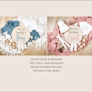Could Be Pink Could Be Blue / Digital Pregnancy Announcement Social ...