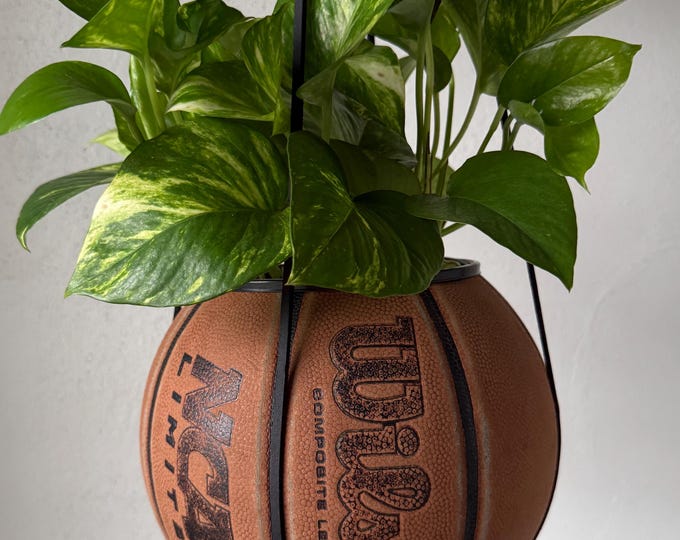 Wilson NCAA Planter