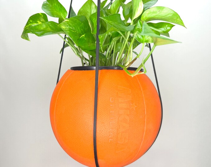 Mikasa Basketball Planter by Plantsketball