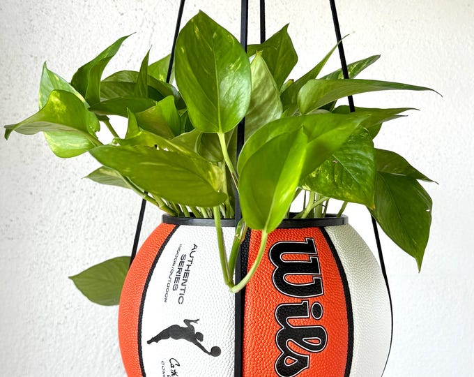 WNBA Basketball Planter by Plantsketball