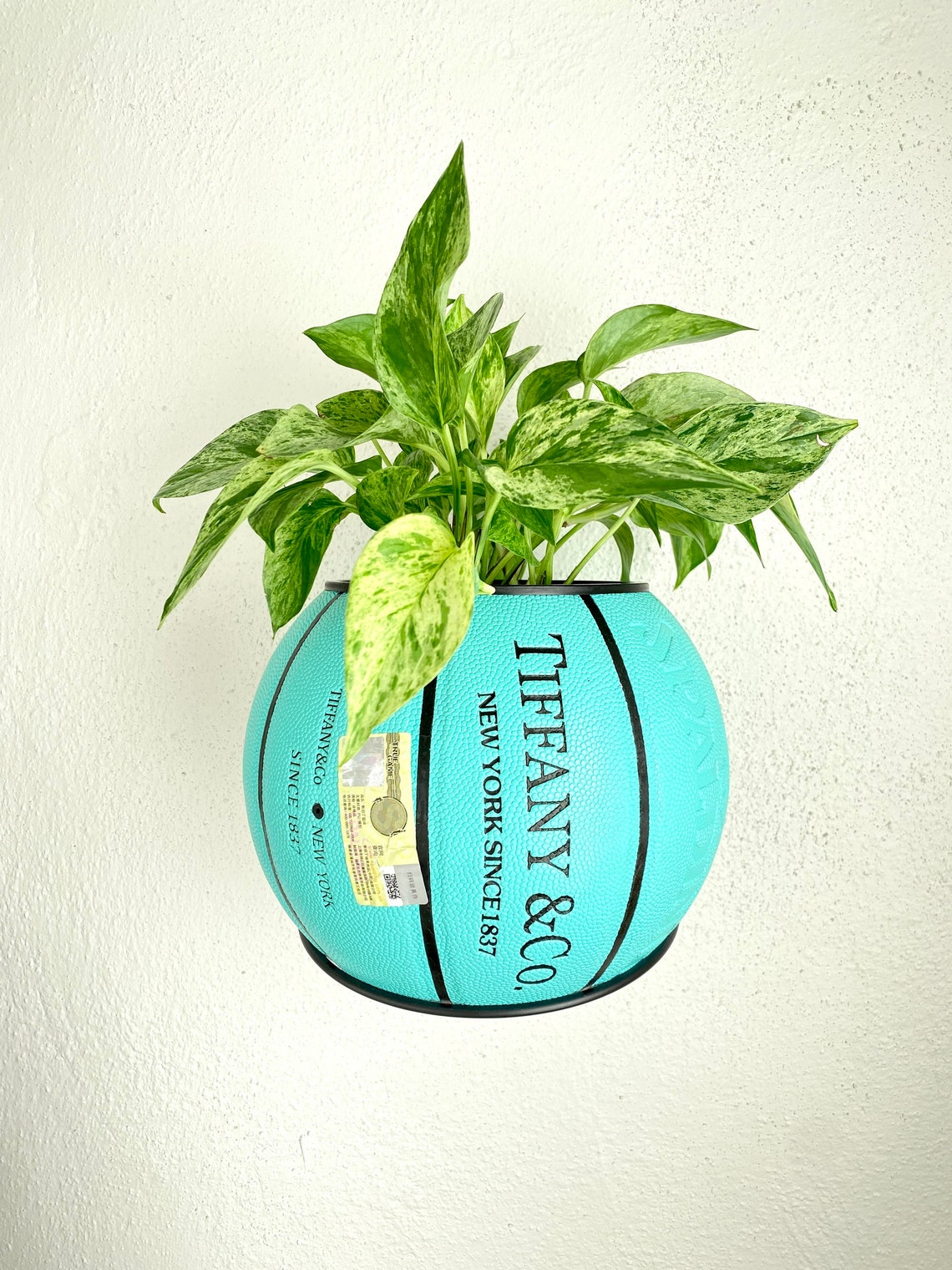 T&Co X Spalding Basketball Planter by Plantsketball Etsy