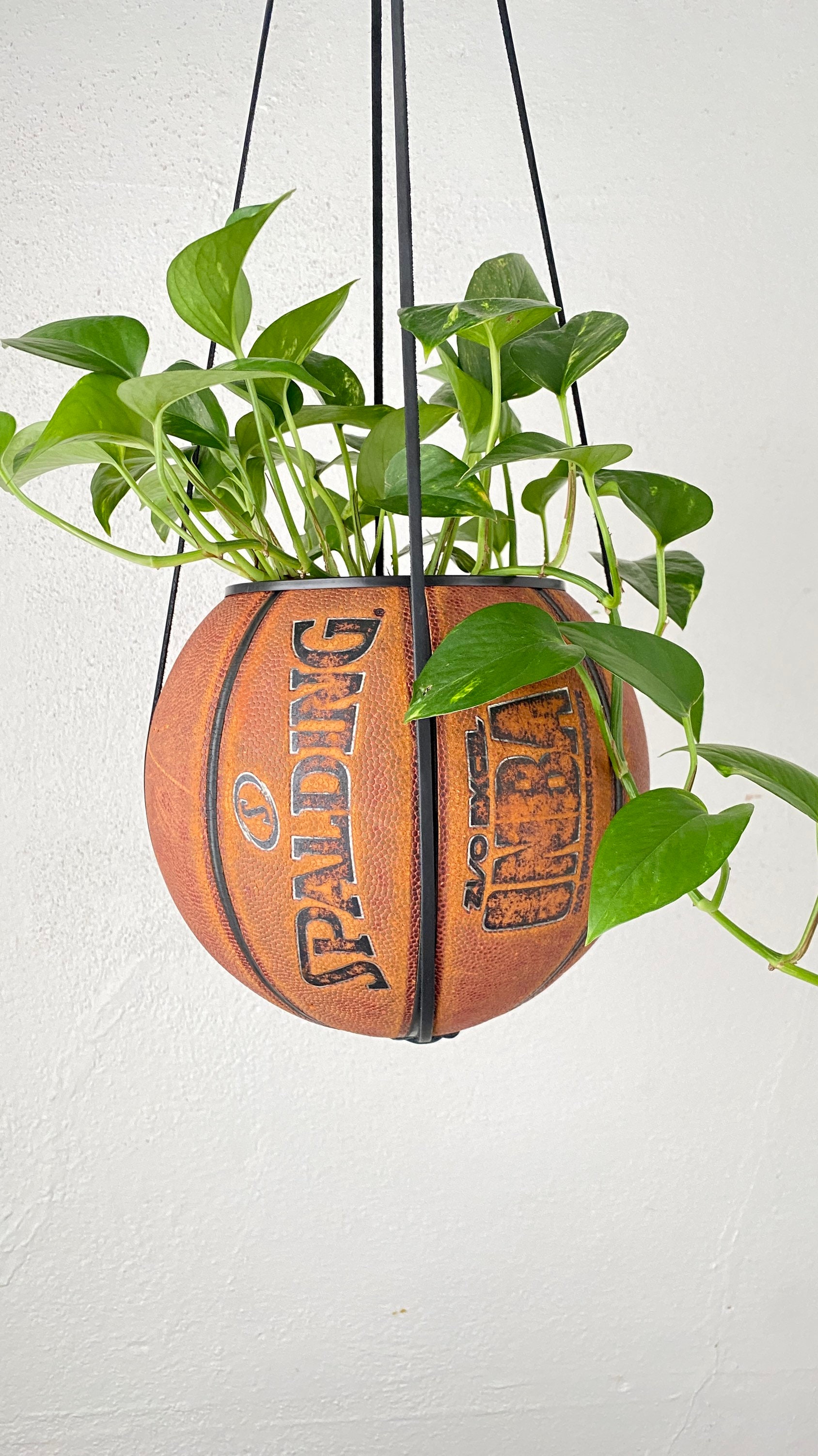 Spalding NBA Excel Basketball Planter