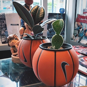 Mini Basketball Planter