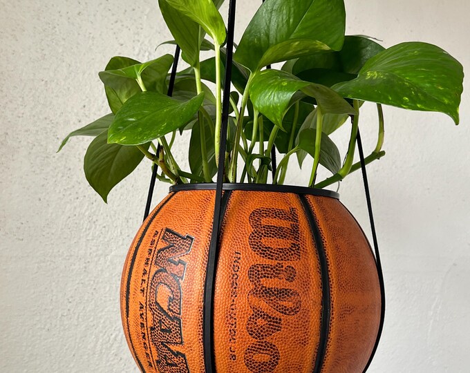 Wilson NCAA Plantsketball