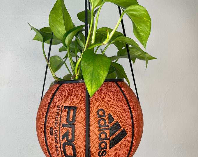 Adi Plantsketball