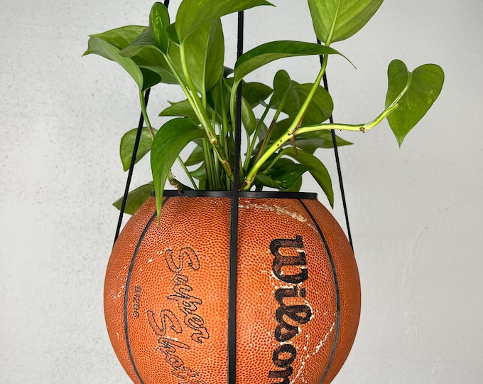 Wilson Sure Shot Plantsketball