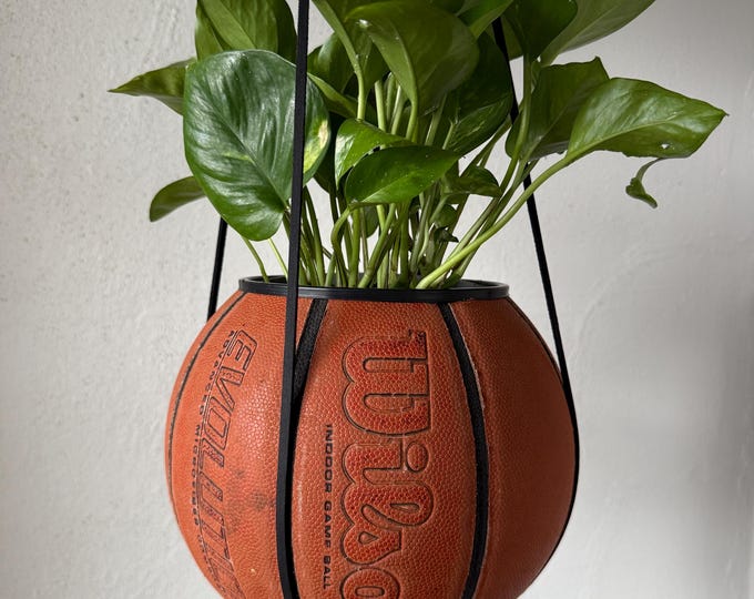 Wilson Evolution Planter