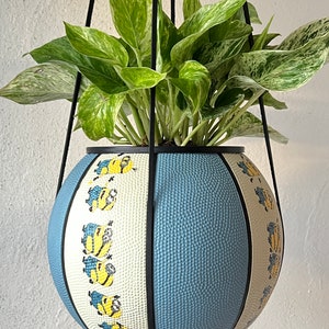 Può includere: Un vaso sospeso fatto con una palla da basket con un design blu e bianco. La palla da basket ha un motivo di personaggi dei cartoni animati gialli. Una pianta verde con variegatura bianca sta crescendo nel vaso.