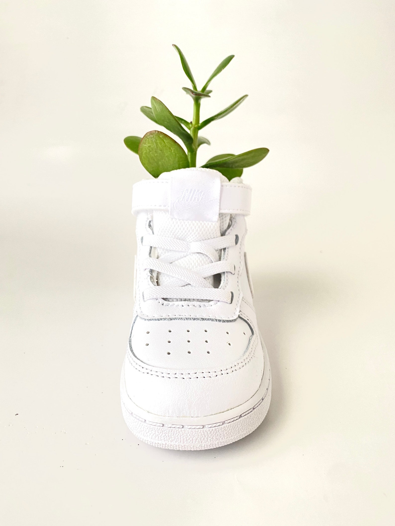 Nike Sneaker Planter by Plantsketball - Etsy