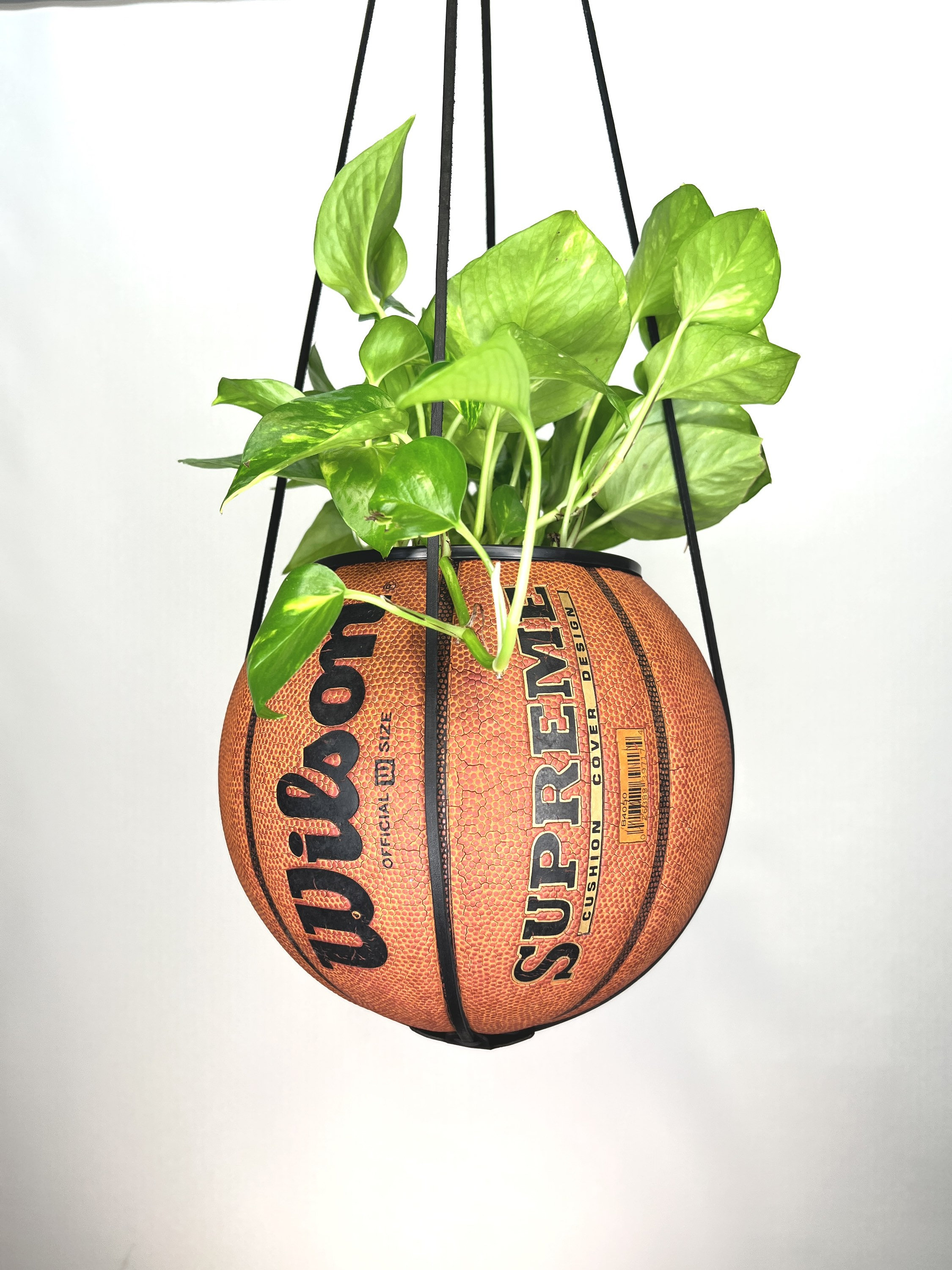 Wilson Supreme Basketball Planter by Plantsketball
