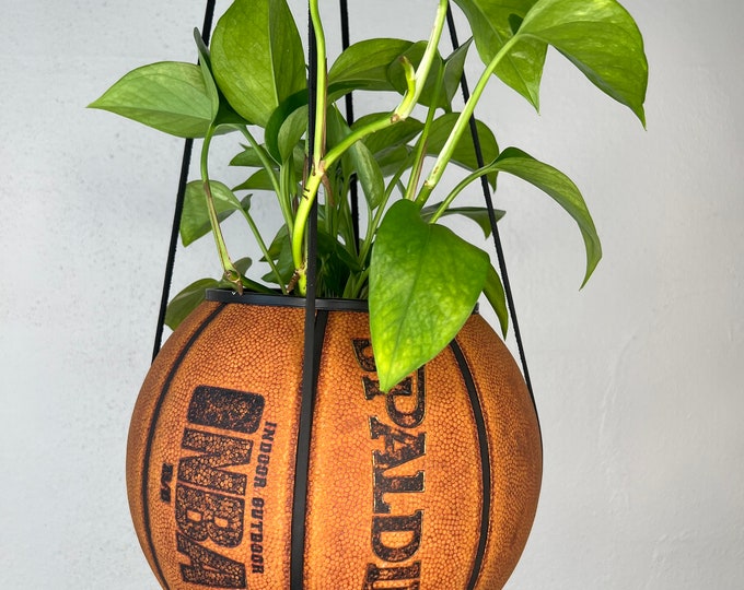 Spalding Plantsketball
