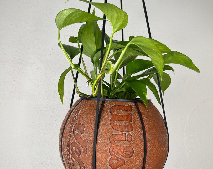 Wilson Jet Plantsketball