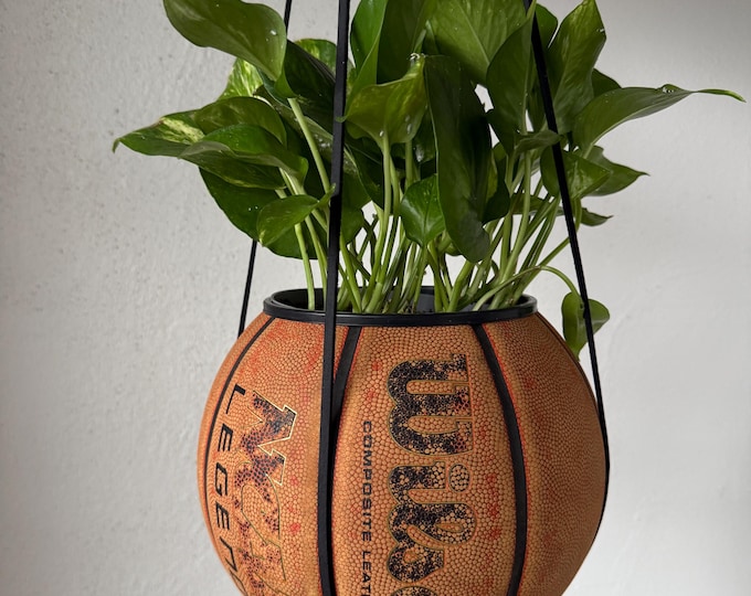 Wilson NCAA Planter
