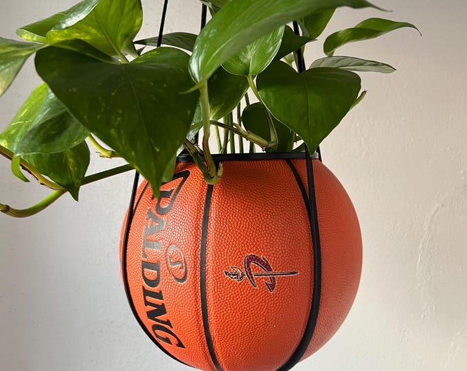 Cavs Plantsketball