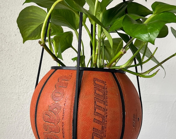 Wilson Evolution Plantsketball
