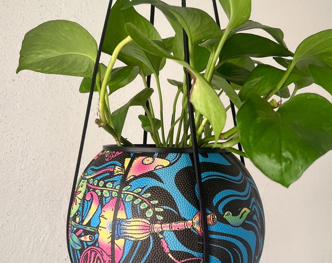 Rip N Dip Kitty Plantsketball