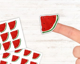 Watermelon Stickers, Fruit Stickers, Summer Planner Stickers, Watermelon Sticker Sheet