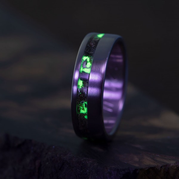 Titanium Dinosaur Bone and Meteorite minimalistic wedding ring with Glow. Triceratops, Megalodone fossil engagement Band for Him and Her.