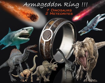 Meteorite Dinosaur bone ring, Tyrannosaurus Rex ring, Fossil Jewelry , Sterling Silver Wedding band| Male & Women engagement ring