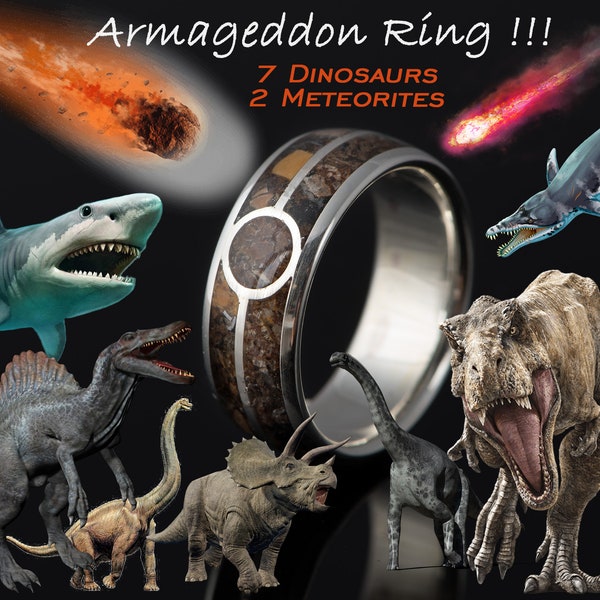 Bague en os de dinosaure météorite, bague Tyrannosaurus Rex, bijoux fossiles, alliance en argent sterling| Bague de fiançailles Homme & Femme