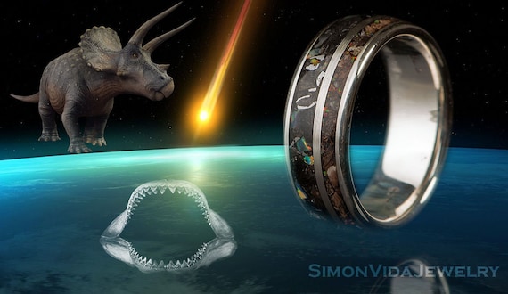 Dinosaur and cheap meteorite ring