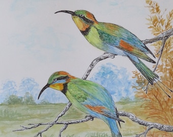 Rainbow Bee-Eater, Bird Art, Australian Bird, Native Bird, Original Ink and Watercolour painting, bird lover gift, flora and fauna.